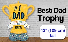 Fathers Day Balloon Arrangement London Ontario