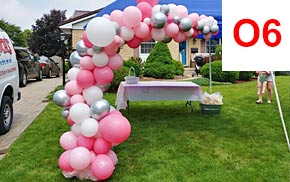 Decorative Organic Balloon Arch London Ontario