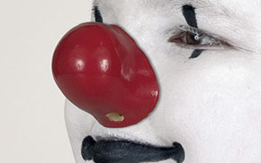 ProKnows LB Clown Nose in Ontario Canada