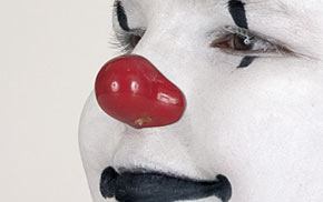 ProKnows PM Clown Nose in Ontario Canada